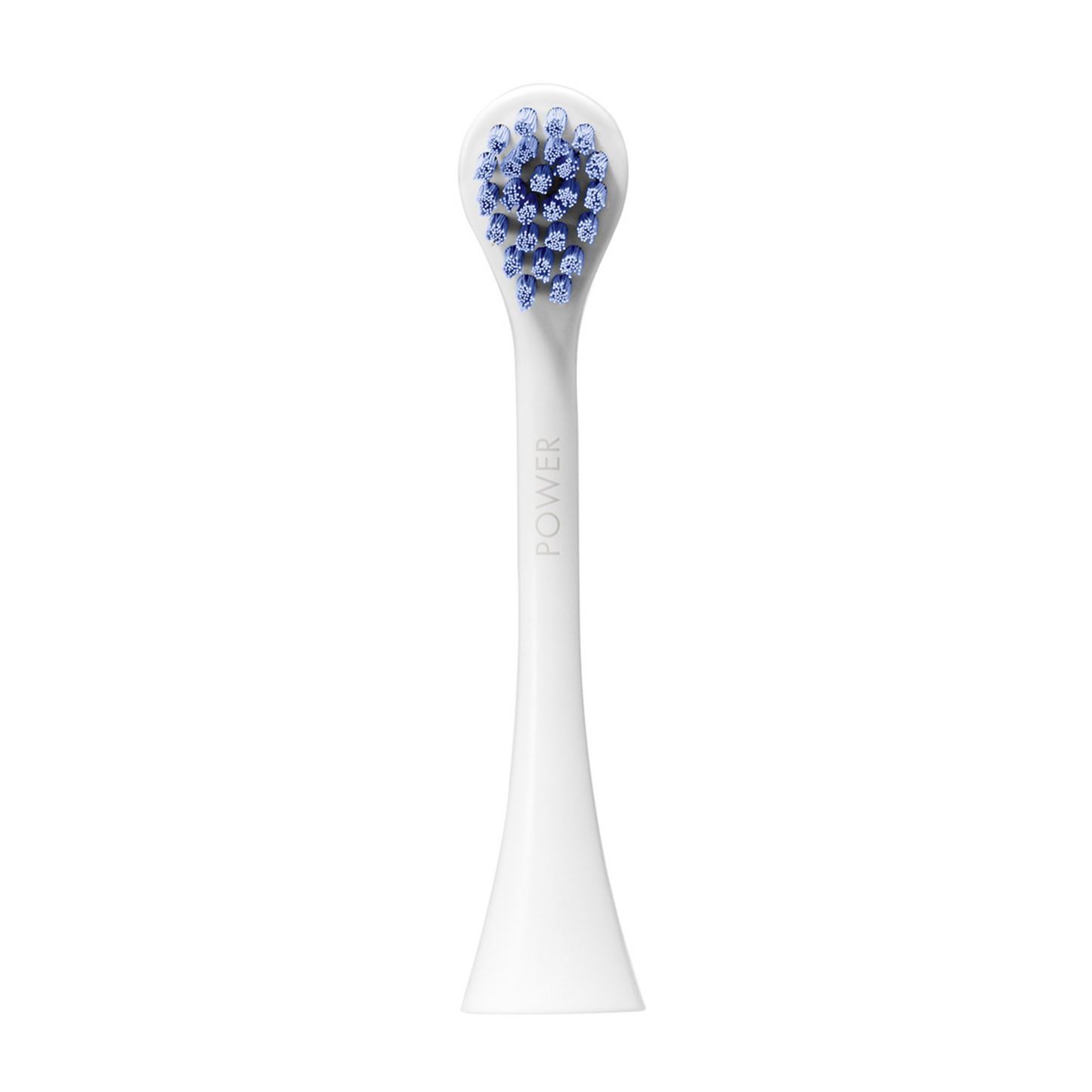Têtes de brosse « power » pour Hydrosonic Pro